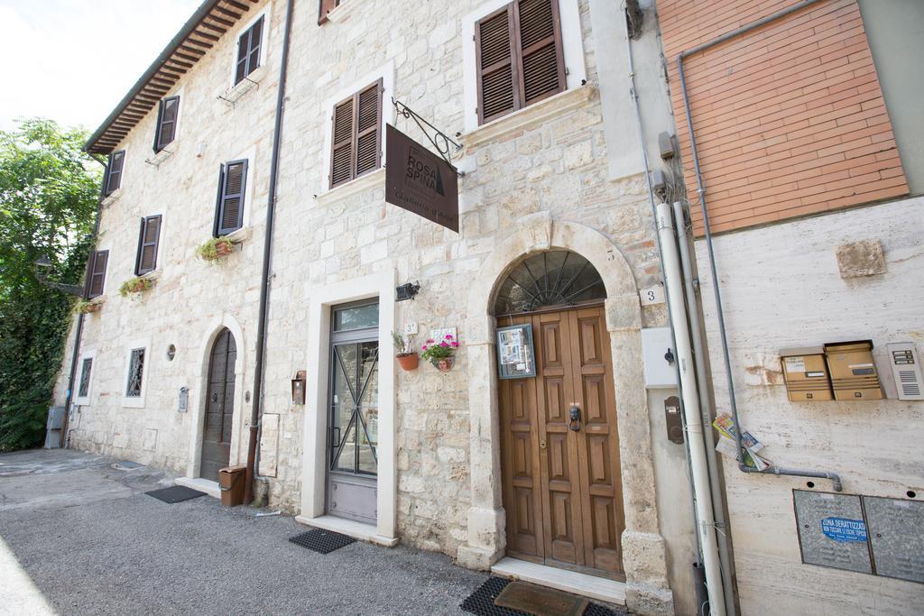 B&B Rosaspina Ascoli Piceno Ngoại thất bức ảnh